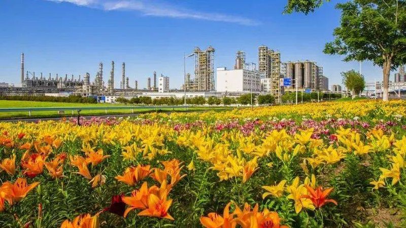 高分子材料回收再生料质量标准：如何确保品质与合规**