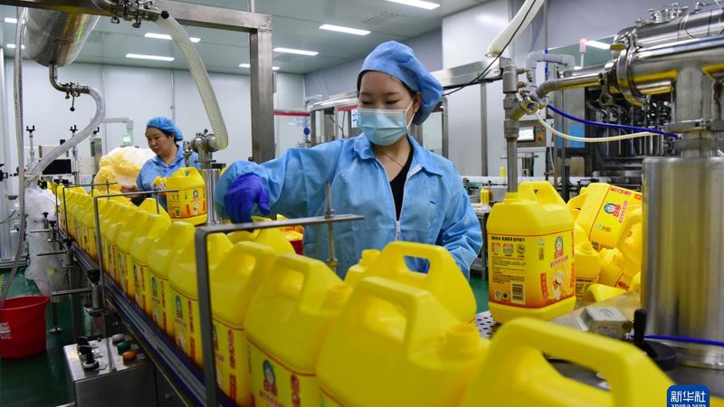 食品增稠剂国家标准规范：安全与合规的基石
